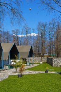 Stargazers Camping in Manali